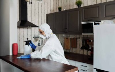 The best kitchen cleaning tips and tricks